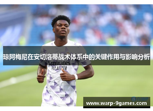 琼阿梅尼在安切洛蒂战术体系中的关键作用与影响分析 琼阿梅尼在安切洛蒂战术体系中的关键作用与影响分析